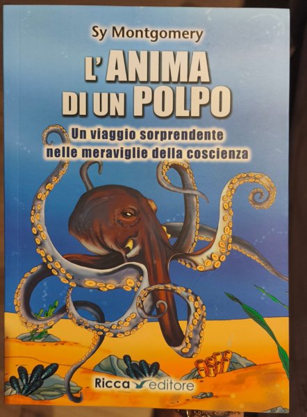 Copertina di L'anima di un polpo. Un viaggio sorprendente nelle meraviglie della coscienza