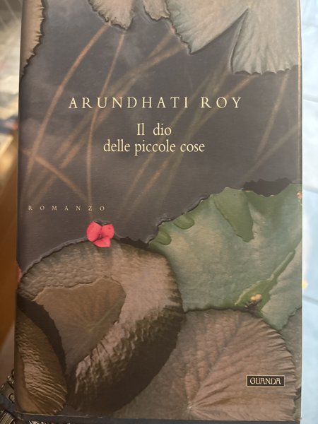 Copertina di Il dio delle piccole cose